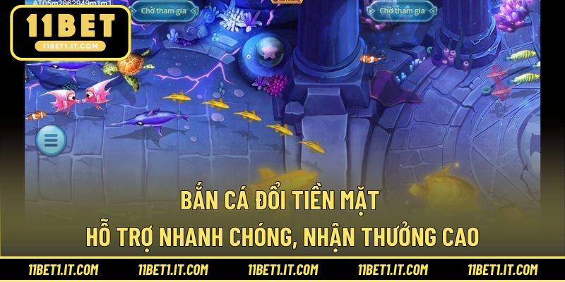 Bắn Cá Đổi Tiền Mặt - Hỗ Trợ Nhanh Chóng, Nhận Thưởng Cao