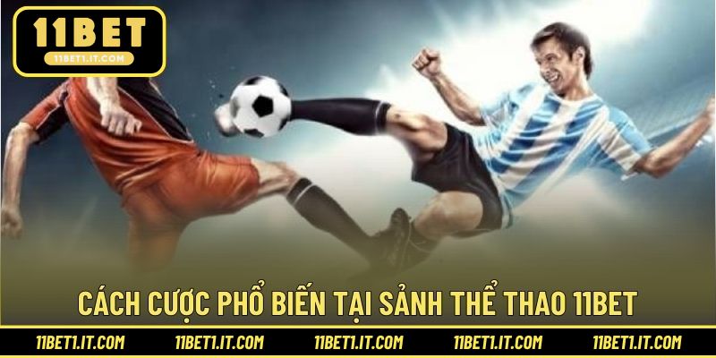 Cách cược phổ biến tại sảnh thể thao 11BET
