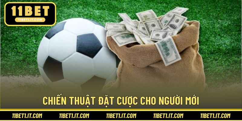 Chiến thuật đặt cược cho người mới