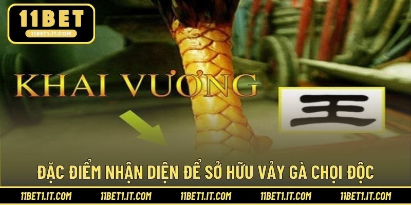 Điểm nhận diện khi phân biệt chiến kê có vảy gà độc đáo