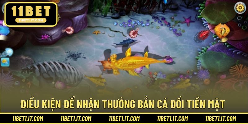 Điều kiện đảm bảo chinh phục săn cá đổi tiền suôn sẻ