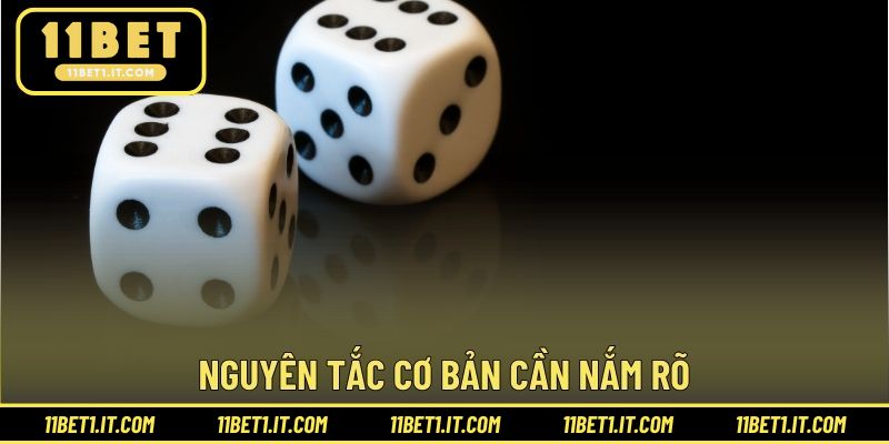 Nguyên tắc cơ bản cần nắm rõ