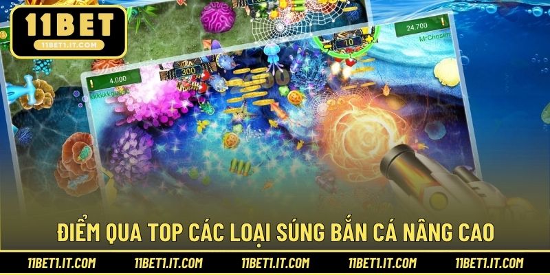 Tổng hợp vũ khí nâng cao giúp đảm bản săn cá thắng lớn