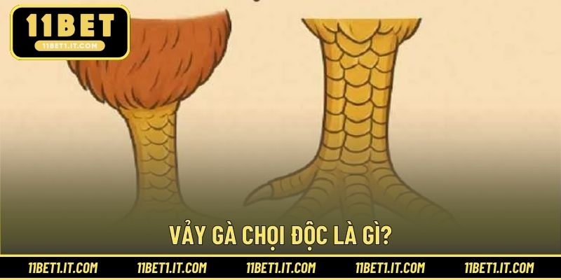 Cơ bản thông tin vị trí vảy gà độc đáo